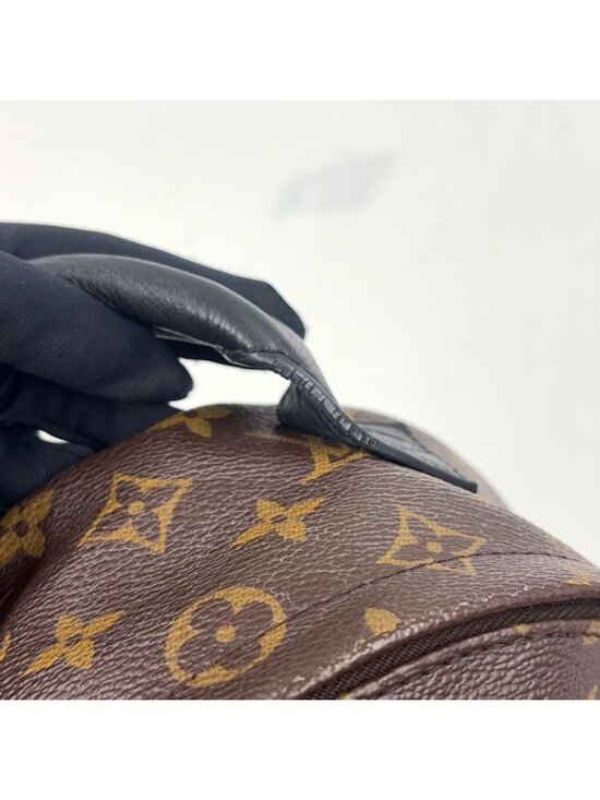 Louis Vuitton Palm Springs PM Monogram Leather Brown Black Backpack Gold main image 11